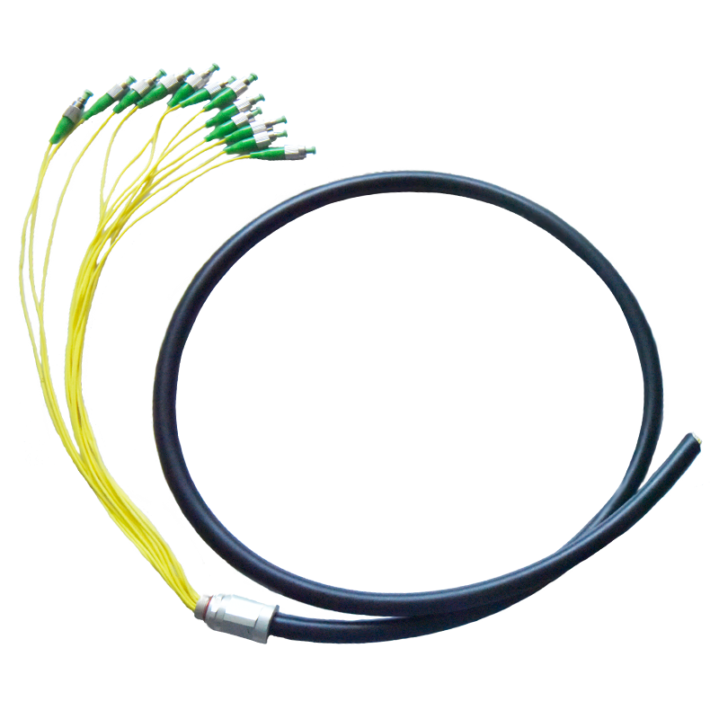 12 Core Waterproof SM Pigtail, 1 m